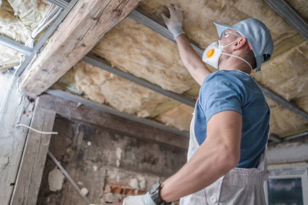 Best Wall Insulation Contractor  in Florence, AL