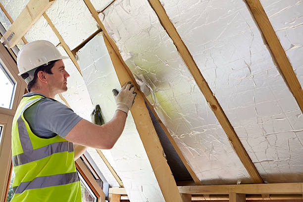 Best Insulation for New Construction  in Florence, AL